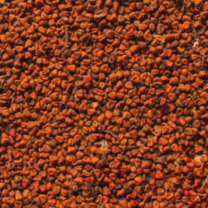 Home A colorful and textured close-up of annatto seeds, commonly used as a spice.